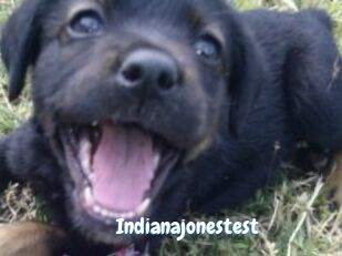 Indianajonestest