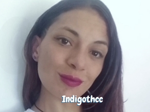 Indigothcc