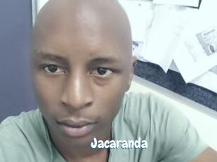 Jacaranda