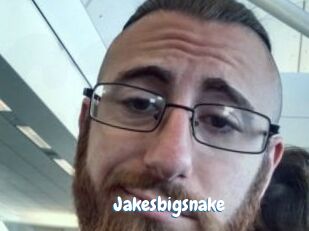 Jakesbigsnake