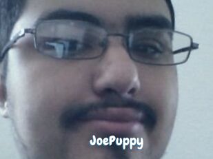 JoePuppy