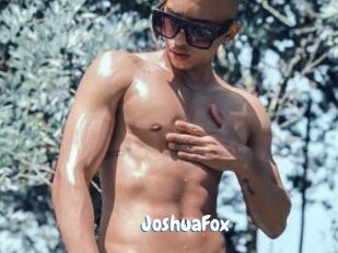 JoshuaFox