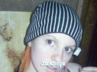 Jackalope