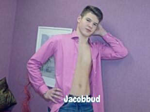 Jacobbud