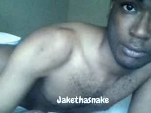 Jake_tha_snake