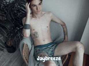 Jaybreeze