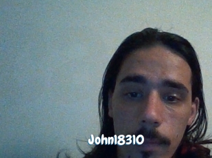 John18310