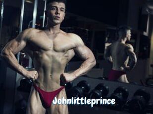 Johnlittleprince