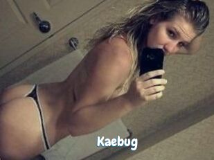 Kaebug