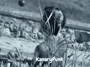 KanaryPunk