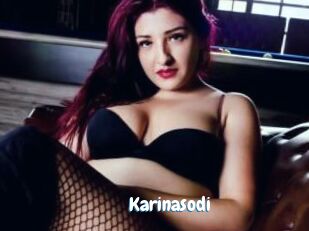 Karinasodi
