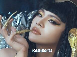 KeshBorts