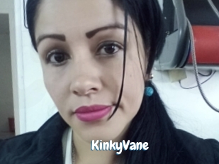 KinkyVane