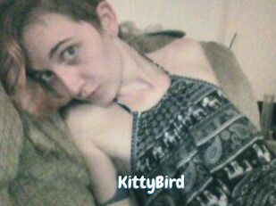 KittyBird