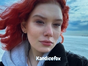 Kandicefox