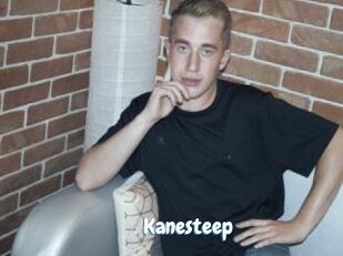 Kanesteep