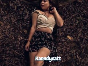 Kanndycatt