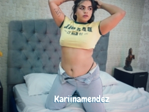 Kariinamendez