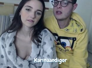 Karinaandigor