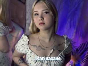 Karinacane