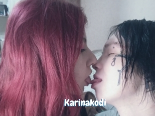 Karinakodi