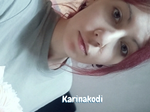 Karinakodi