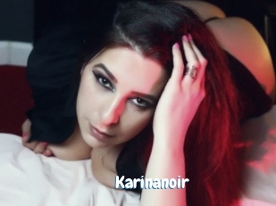 Karinanoir