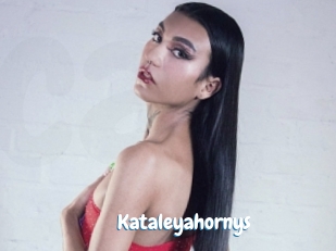Kataleyahornys