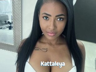 kattaleya Coquine Avenue