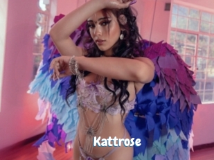 Kattrose