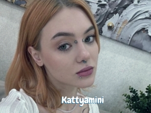 Kattyamini