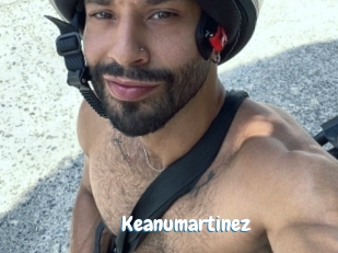 Keanumartinez
