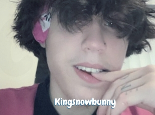 Kingsnowbunny