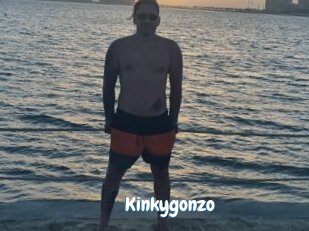Kinkygonzo