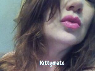 Kittymate