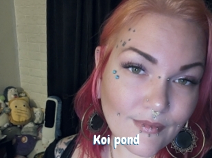 Koi_pond