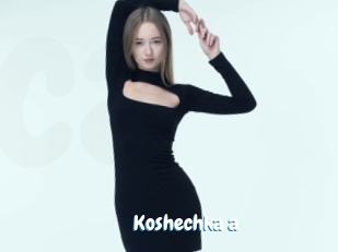 Koshechka_a