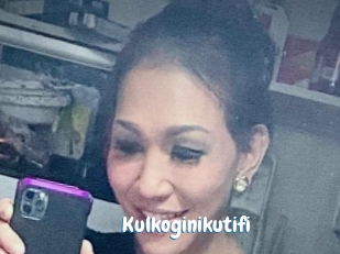 Kulkoginikutifi