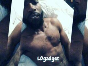 LDgadget