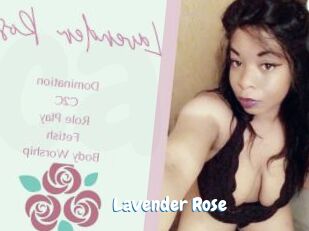 Lavender_Rose