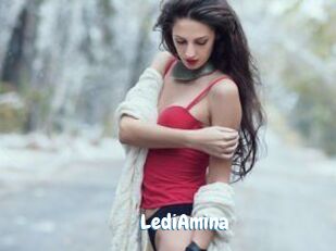 LediAmina