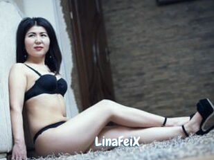 LinaFeiX