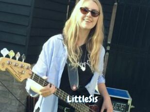 LittleSis