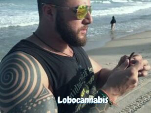 Lobocannabis