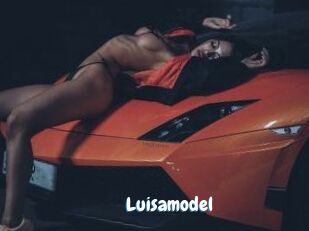 Luisamodel