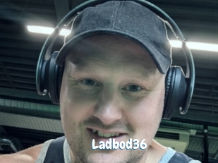 ladbod36 Coquine Avenue