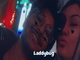 Laddybug