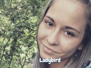 Ladybird