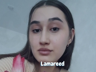 Lamareed