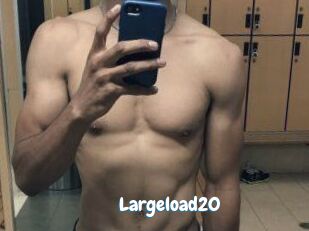 Largeload20